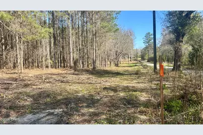 K Grimes Road, Laurel Hill, FL 32567 - Photo 2