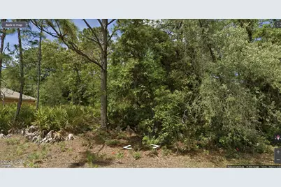 6532 N Foxdale Drive, Citrus Springs, FL 34434 - Photo 2