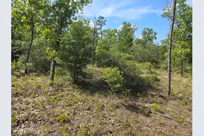 Lot 17 Trellis Drive, Chipley, FL 32428 - Photo 6