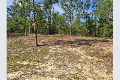 Lot 17 Trellis Drive, Chipley, FL 32428 - Photo 10