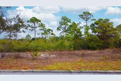 610 Tide Water Drive, Port Saint Joe, FL 32456 - Photo 2