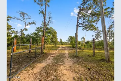 268 Horse Farm Road, Marianna, FL 32448 - Photo 4
