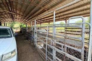 6363 Quarter Horse Ln, Marianna, FL 32448 - Photo 20