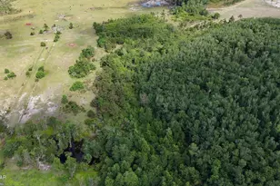 6363 Quarter Horse Ln, Marianna, FL 32448 - Photo 6