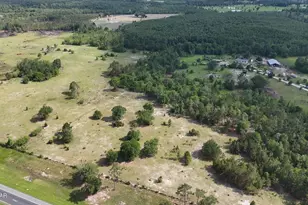6363 Quarter Horse Ln, Marianna, FL 32448 - Photo 2