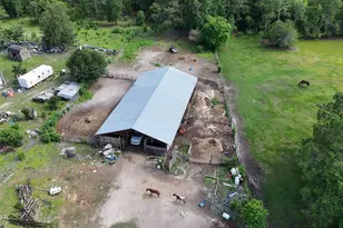 6363 Quarter Horse Ln, Marianna, FL 32448 - Photo 8