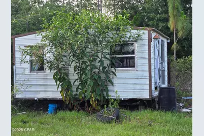 21102 NW Lakeview Drive, Altha, FL 32421 - Photo 2
