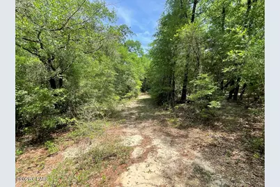 0000 Avon Street, Chipley, FL 32428 - Photo 8