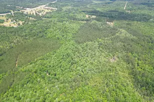 0000 Avon St, Chipley, FL 32428 - Photo 1