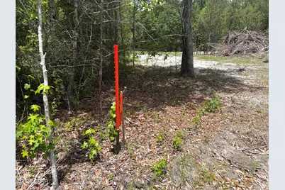 0 Autumn Road, Malone, FL 32445 - Photo 64