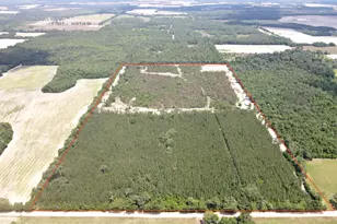 0 Autumn Rd, Malone, FL 32445 - Photo 1