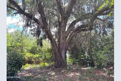 0 Autumn Road, Malone, FL 32445 - Photo 28