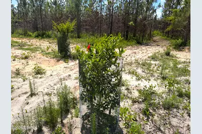 0 Autumn Road, Malone, FL 32445 - Photo 20