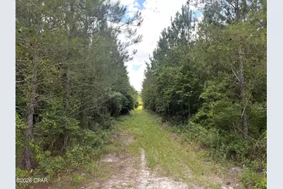 0 Autumn Road, Malone, FL 32445 - Photo 44