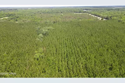 0 Autumn Road, Malone, FL 32445 - Photo 42