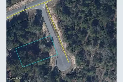 0000 Alex Court, Chipley, FL 32428 - Photo 4
