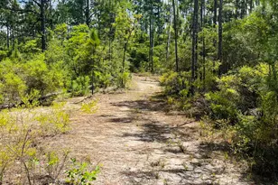 Tbd Chaco Circle, Alford, FL 32420 - Photo 1