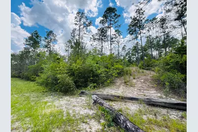 Tbd Chaco Circle, Alford, FL 32420 - Photo 4