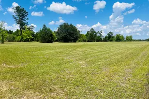 Tbd Campbell Circle, Alford, FL 32420 - Photo 1
