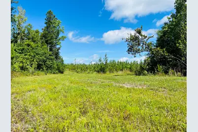 Tbd Sinai Road, Sneads, FL 32460 - Photo 26