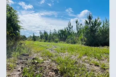 Tbd Sinai Road, Sneads, FL 32460 - Photo 24