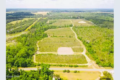 Tbd Sinai Road, Sneads, FL 32460 - Photo 2