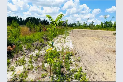 Tbd Sinai Road, Sneads, FL 32460 - Photo 16