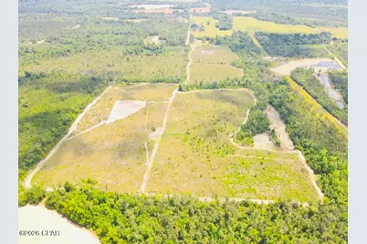Tbd Sinai Road, Sneads, FL 32460 - Photo 4