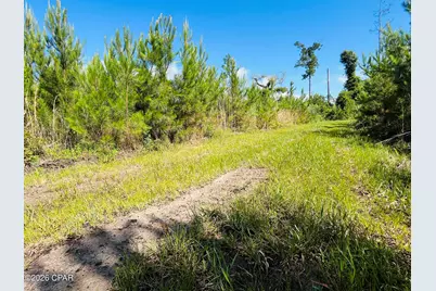 Tbd Sinai Road, Sneads, FL 32460 - Photo 24