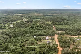 1215 Shores Rd, Alford, FL 32420 - Photo 28