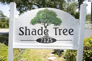 7125 N Lagoon Dr, Panama City, FL 32408 - Photo 38