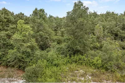 Xxx Barefield Lane, Bonifay, FL 32425 - Photo 22