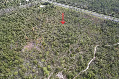 0000 Hwy 231, Panama City, FL 32404 - Photo 2