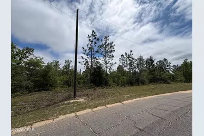 Lot 8 Trellis Drive, Chipley, FL 32428 - Photo 4