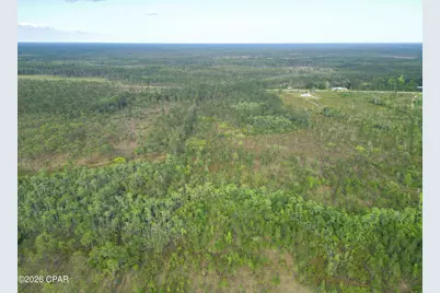 Tbd SW County Road 379, Bristol, FL 32321 - Photo 6