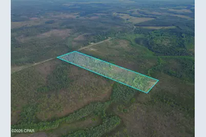 Tbd SW County Road 379, Bristol, FL 32321 - Photo 2