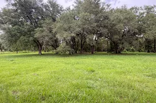 3172 Sandridge Church Rd, Sneads, FL 32460 - Photo 16