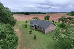 5904 Hwy 77, Graceville, FL 32440 - Photo 2