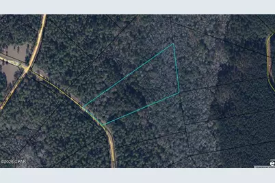Tbd Sumac Road, Westville, FL 32464 - Photo 10