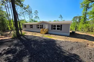 Tbd Park Rd, Alford, FL 32420 - Photo 1