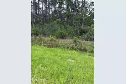 Xxxx S S US Hwy 331, Freeport, FL 32439 - Photo 8