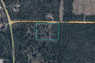 Tbd Nortek Blvd, Alford, FL 32420 - Photo 18