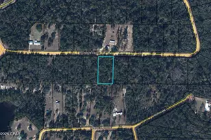 Tbd Deer Run Circle, Alford, FL 32420 - Photo 22
