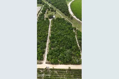 6505 Green Road, Greenwood, FL 32443 - Photo 2