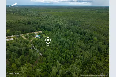 Lot 9-10 Drew Hall, Altha, FL 32421 - Photo 4