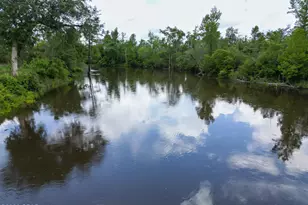 13696 NW Shuman Ferry Rd, Altha, FL 32421 - Photo 76