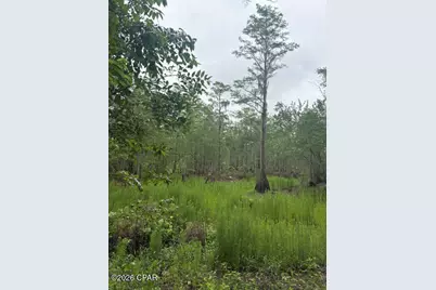 2435 Douglas Pond Road, Marianna, FL 32446 - Photo 2