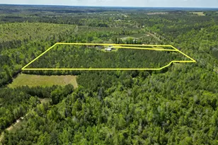 2527 Frost Ln, Chipley, FL 32428 - Photo 46