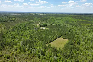 2527 Frost Ln, Chipley, FL 32428 - Photo 52
