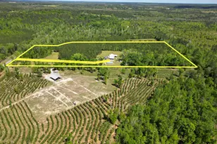 2527 Frost Ln, Chipley, FL 32428 - Photo 48